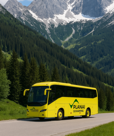 Yellow tour bus on a mountain road beside a pine forest