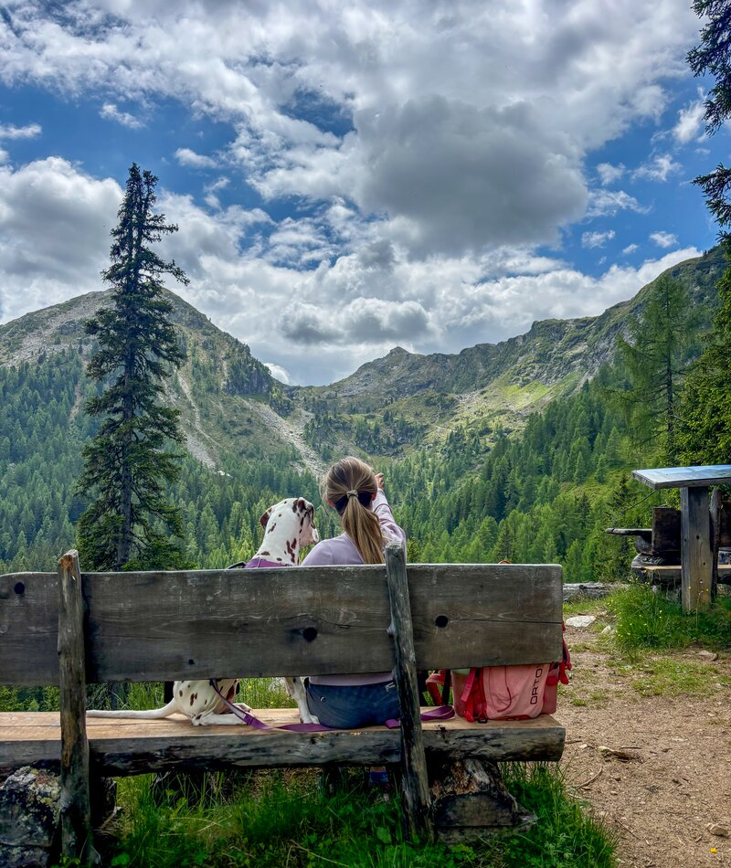 Person and Dalmatian on a bench with mountain view