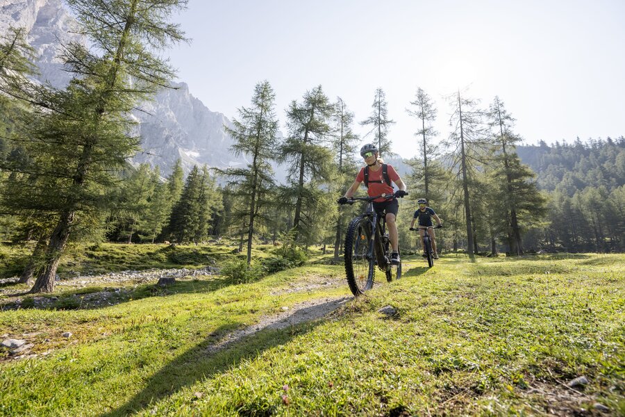 Two mountain bikers ride along a grassy forest trail