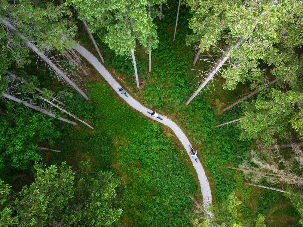 Aerial view of winding forest trail with hikers