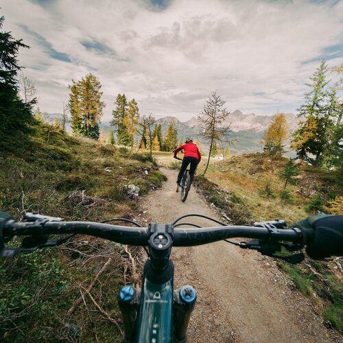First-person view of a cyclist on forest trail