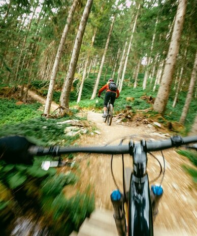 First-person view of a mountain biker on a forest trail