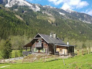 Wooden alpine cabin in a meadow with surrounding forest
