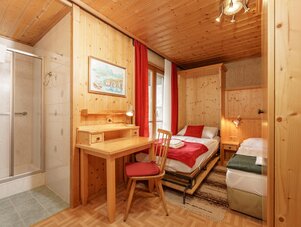 Wood-paneled hotel room with twin beds, desk, and shower